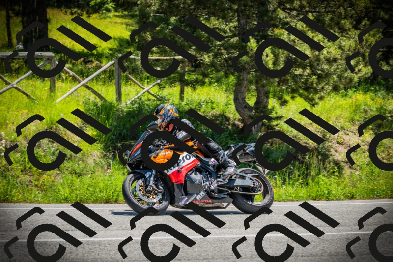 202506021217-DSC04516_c1_