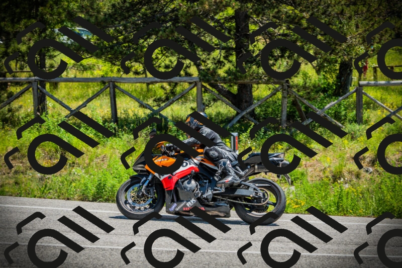 202506021217-DSC04517_c1_