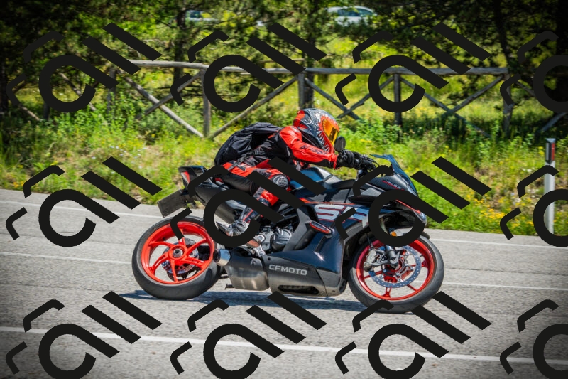 202506021217-DSC04518_c1_