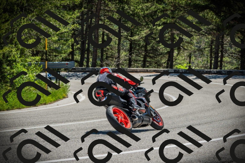 202506021217-DSC04520_c1_