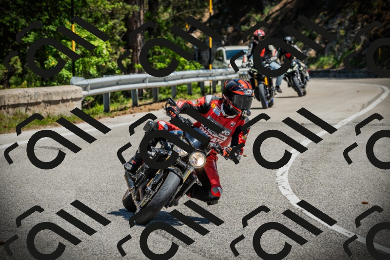 202506021217-DSC04522_c1_