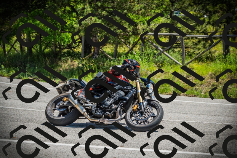 202506021217-DSC04523_c1_