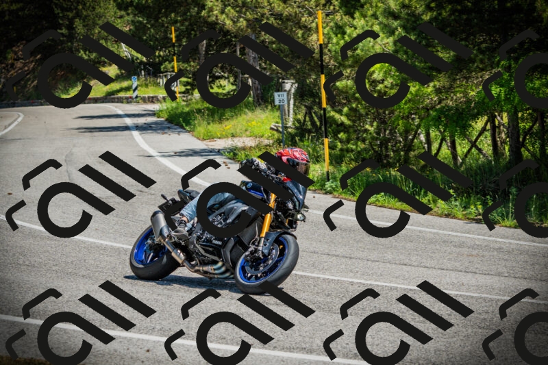 202506021217-DSC04525_c1_