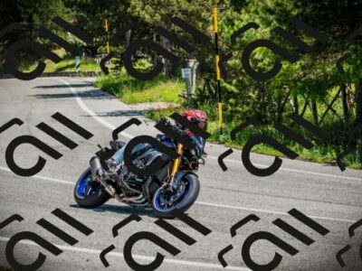 202506021217-DSC04525_c1_