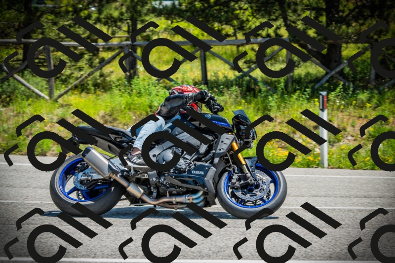 202506021217-DSC04526_c1_