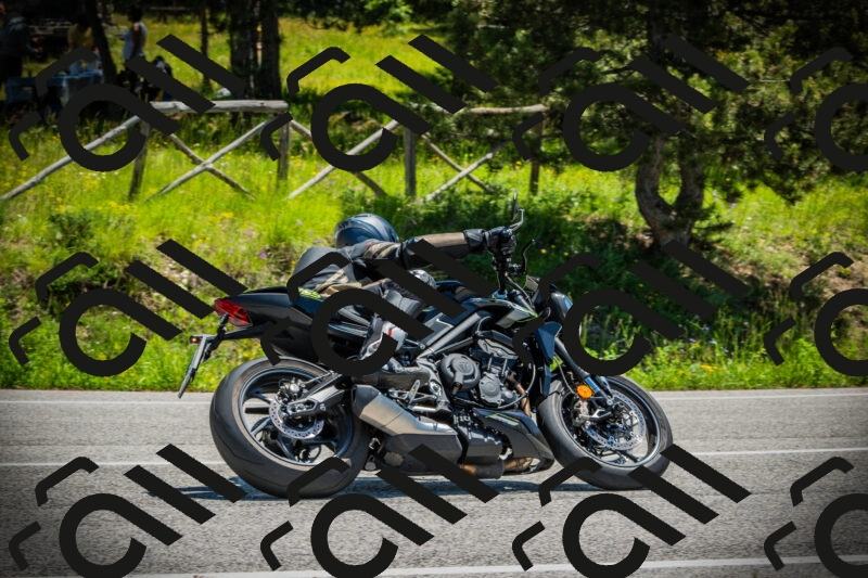 202506021217-DSC04527_c1_