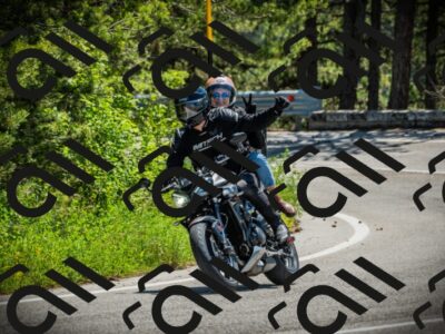 202506021217-DSC04529_c1_