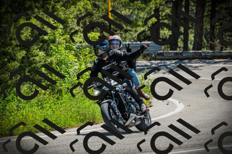 202506021217-DSC04529_c1_