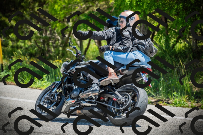 202506021217-DSC04530_c1_