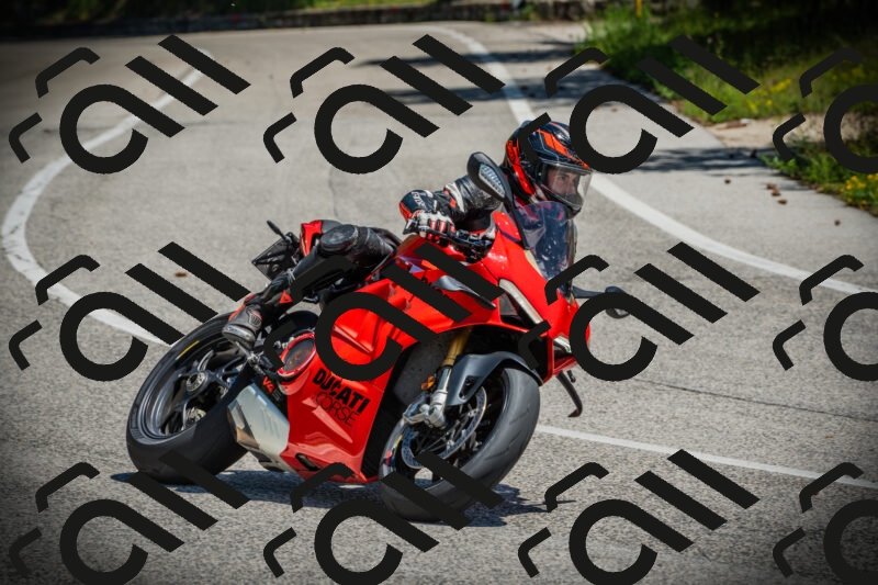 202506021218-DSC04536_c1_