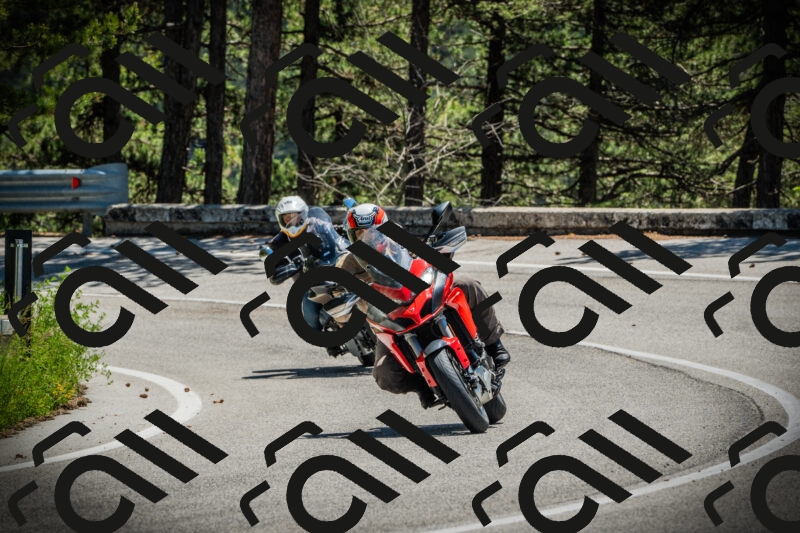 202506021219-DSC04541_c1_