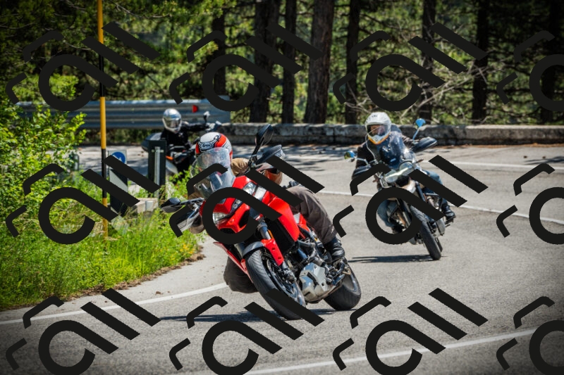 202506021219-DSC04542_c1_