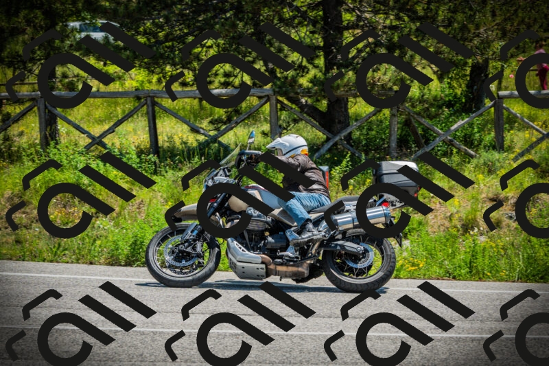 202506021219-DSC04545_c1_