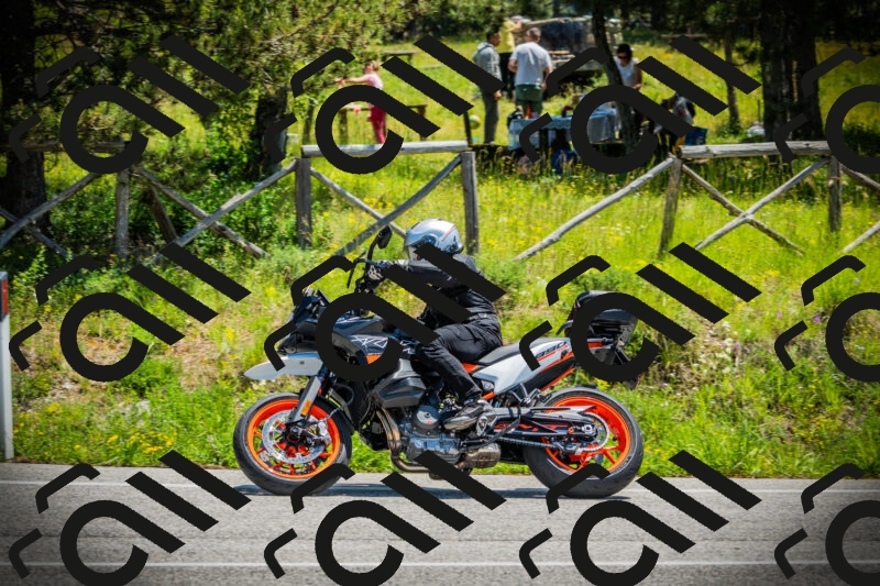 202506021219-DSC04546_c1_