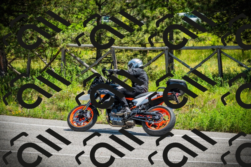 202506021219-DSC04547_c1_