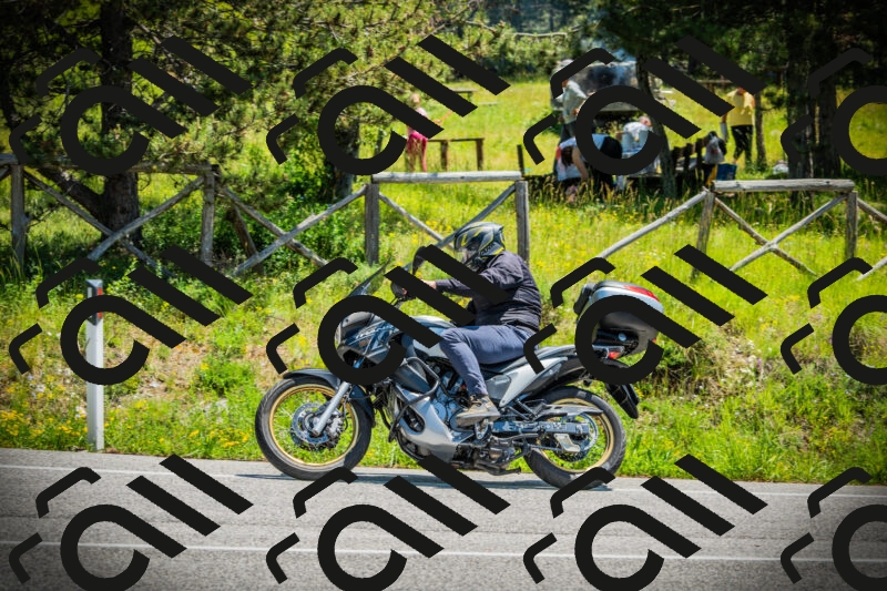 202506021220-DSC04551_c1_