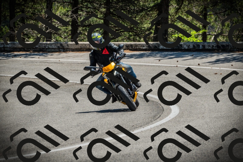 202506021220-DSC04554_c1_