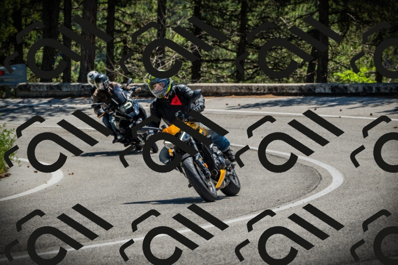 202506021220-DSC04555_c1_