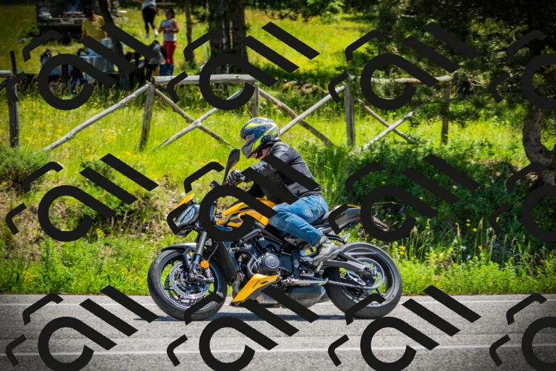 202506021220-DSC04557_c1_