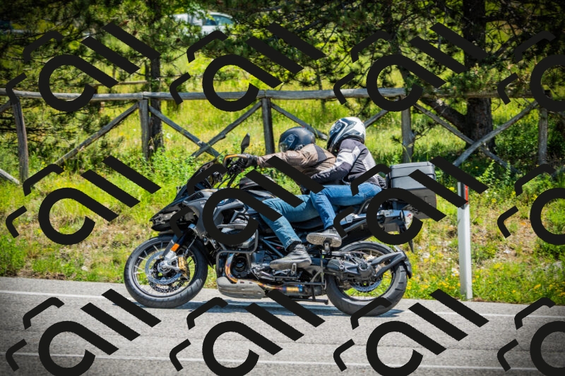 202506021220-DSC04559_c1_