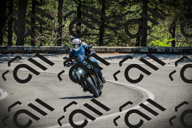 202506021220-DSC04561_c1_