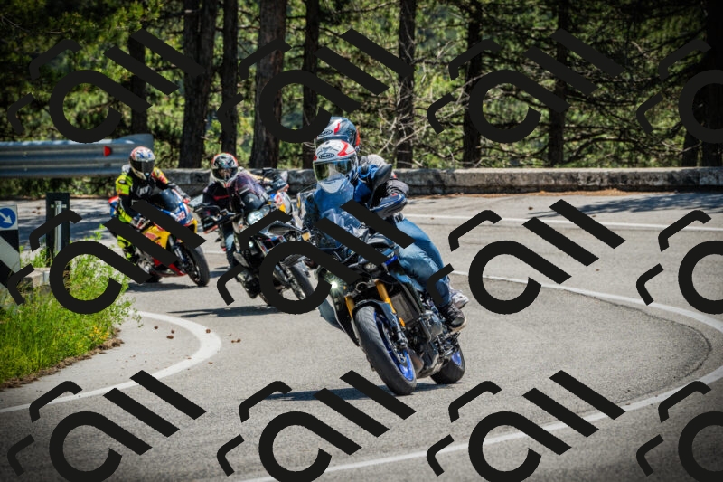 202506021220-DSC04562_c1_