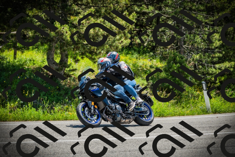 202506021220-DSC04563_c1_