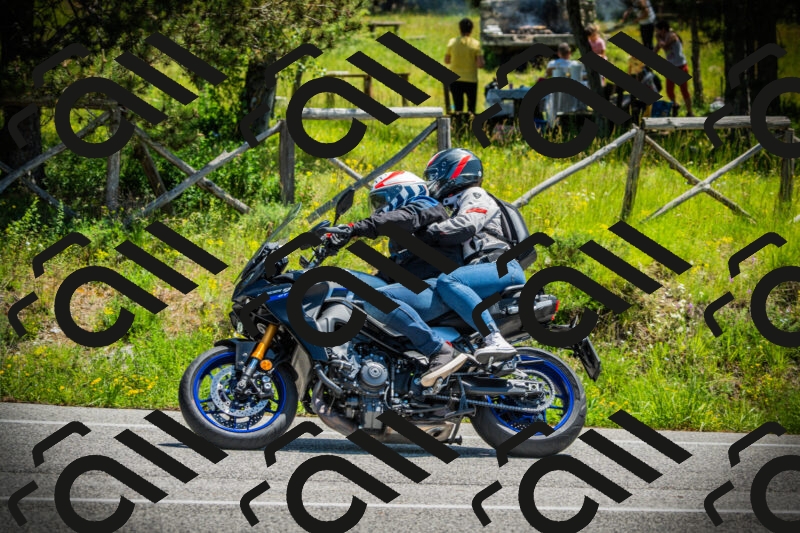 202506021220-DSC04564_c1_