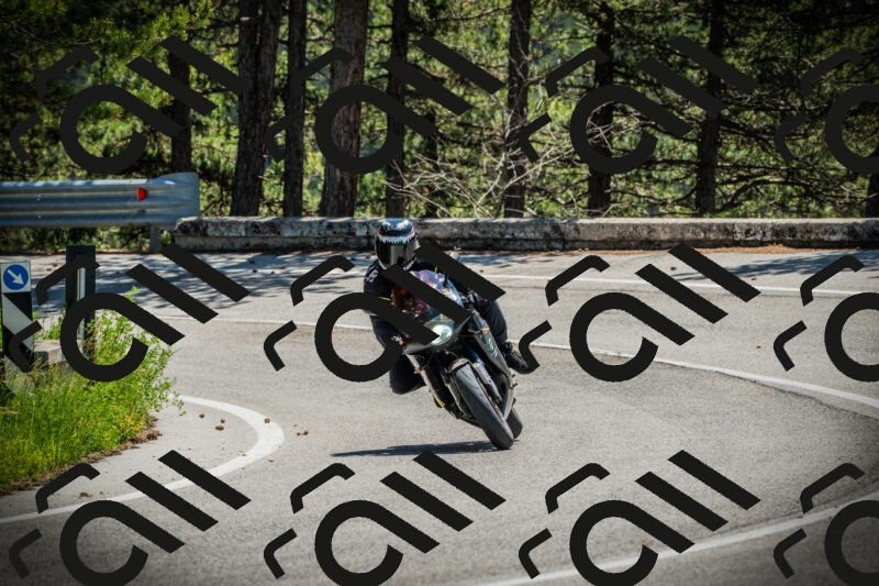 202506021221-DSC04572_c1_