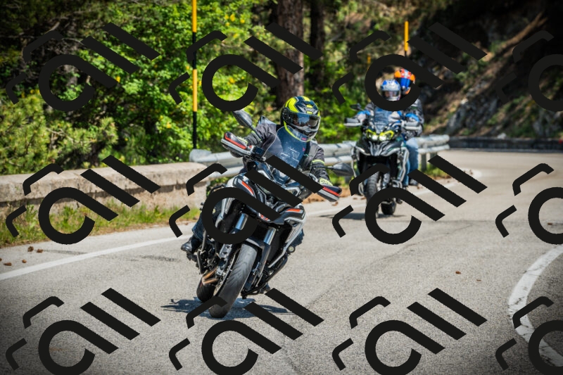 202506021221-DSC04576_c1_