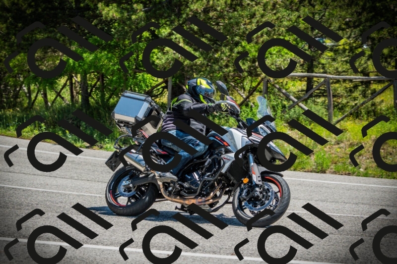 202506021221-DSC04578_c1_