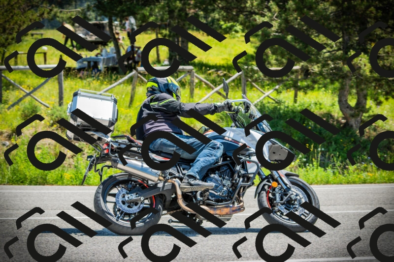 202506021221-DSC04579_c1_