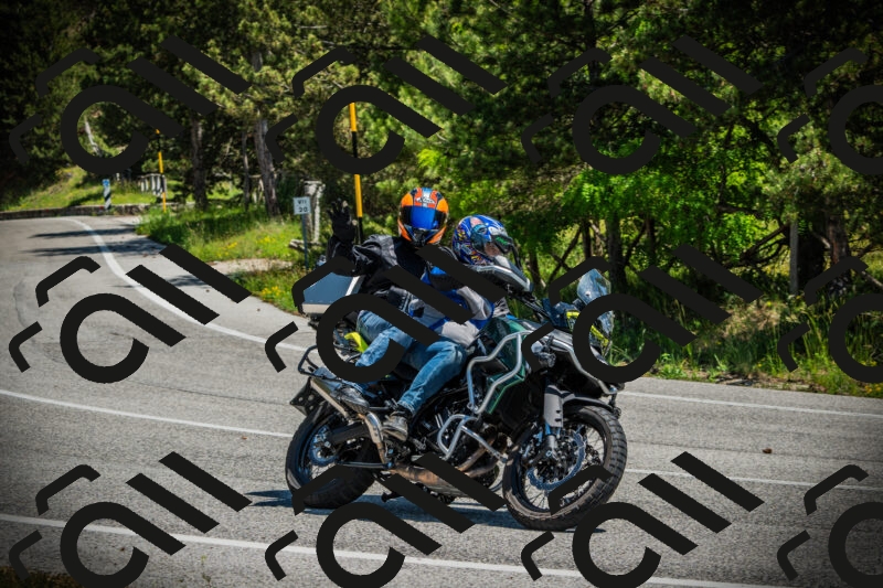 202506021221-DSC04580_c1_