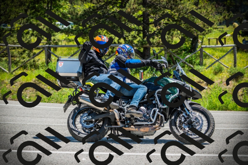 202506021221-DSC04581_c1_