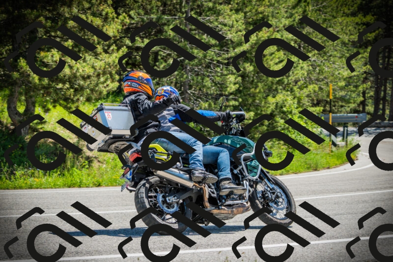 202506021221-DSC04582_c1_