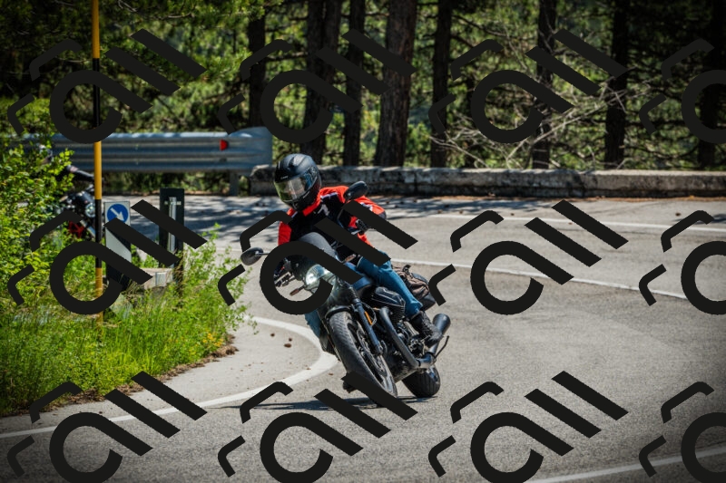 202506021222-DSC04584_c1_