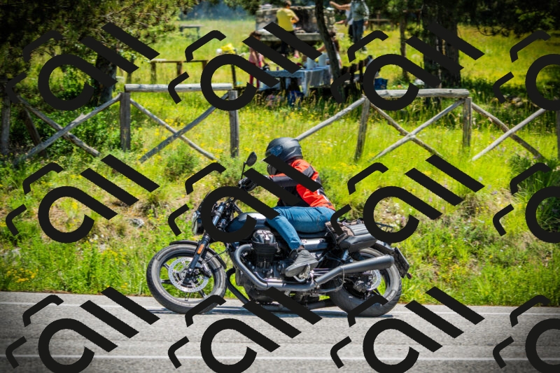 202506021222-DSC04586_c1_