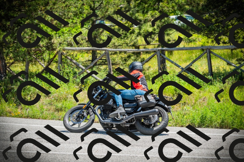 202506021222-DSC04587_c1_