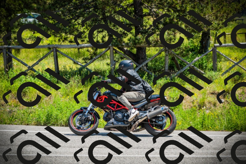 202506021222-DSC04590_c1_