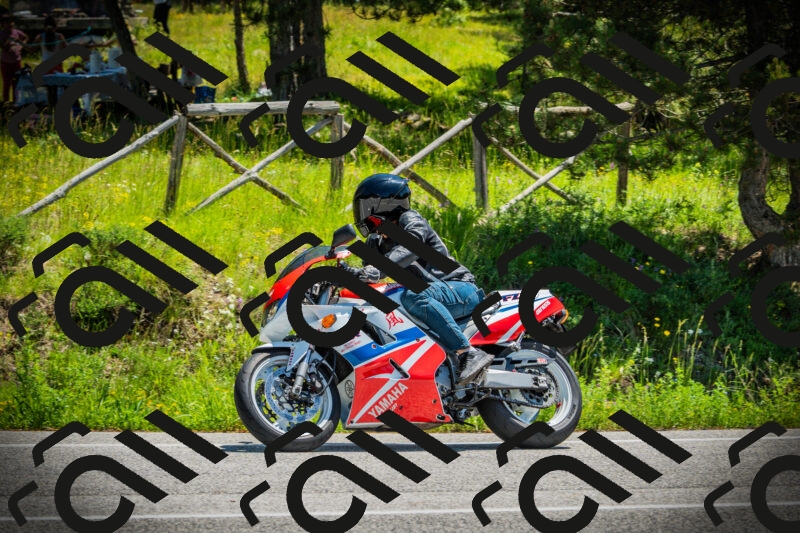 202506021222-DSC04599_c1_