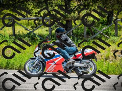 202506021222-DSC04600_c1_