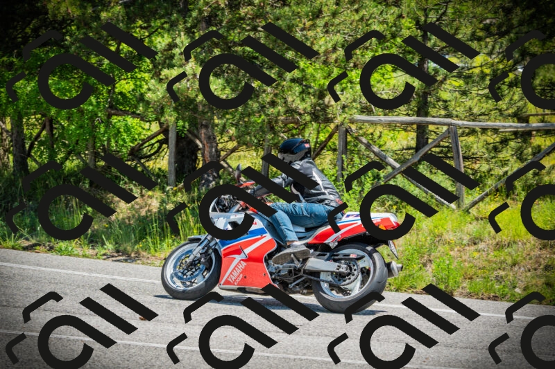 202506021222-DSC04601_c1_