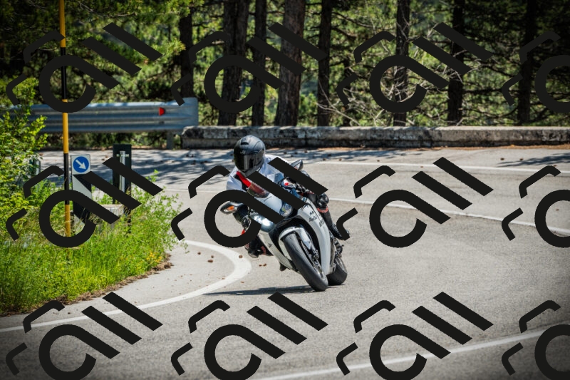 202506021223-DSC04603_c1_