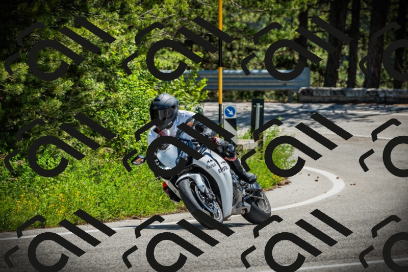 202506021223-DSC04604_c1_