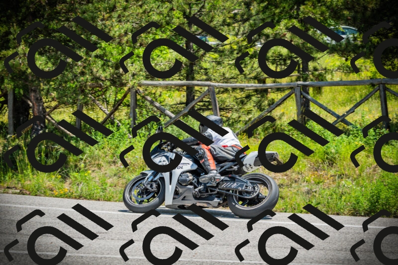 202506021223-DSC04606_c1_