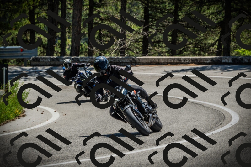 202506021224-DSC04610_c1_