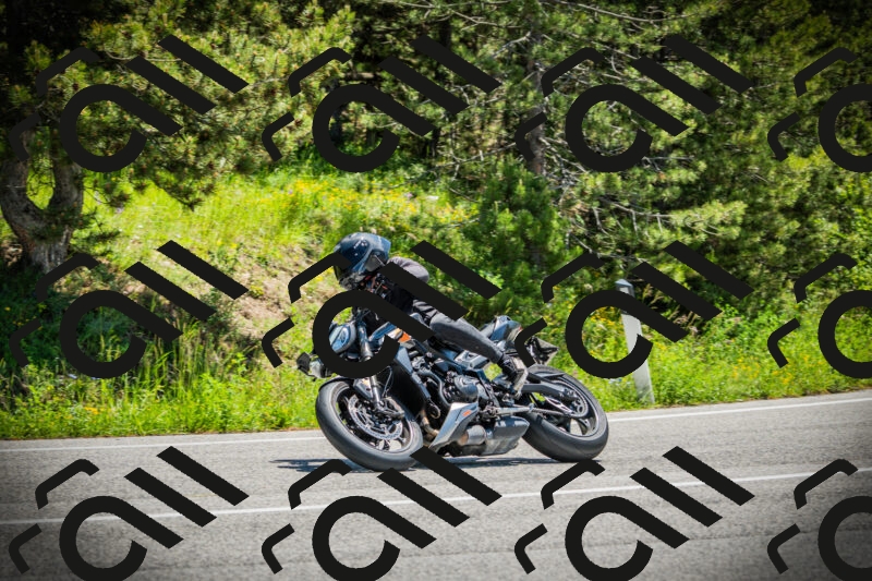 202506021224-DSC04611_c1_