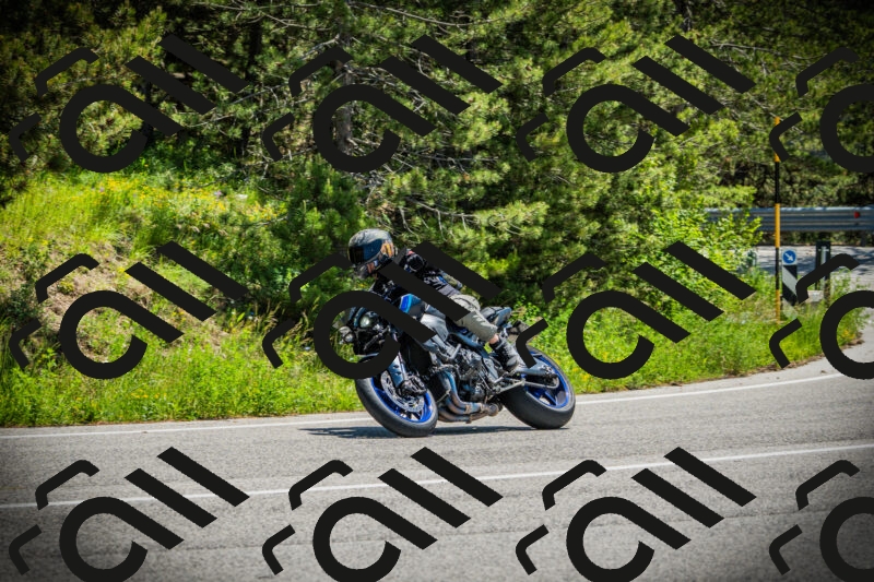 202506021224-DSC04612_c1_