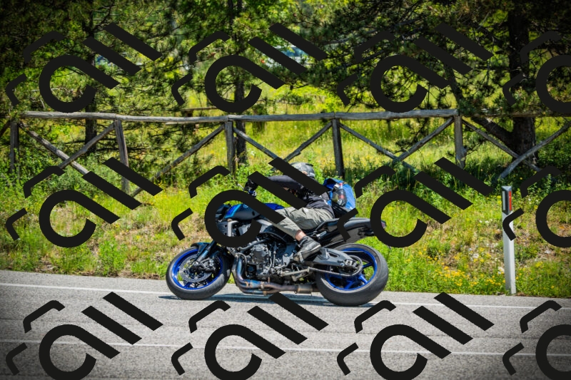 202506021224-DSC04614_c1_