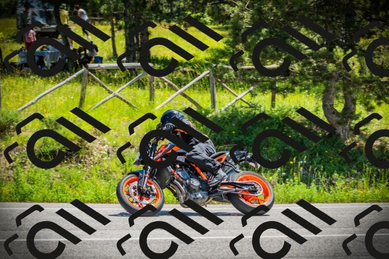 202506021225-DSC04615_c1_